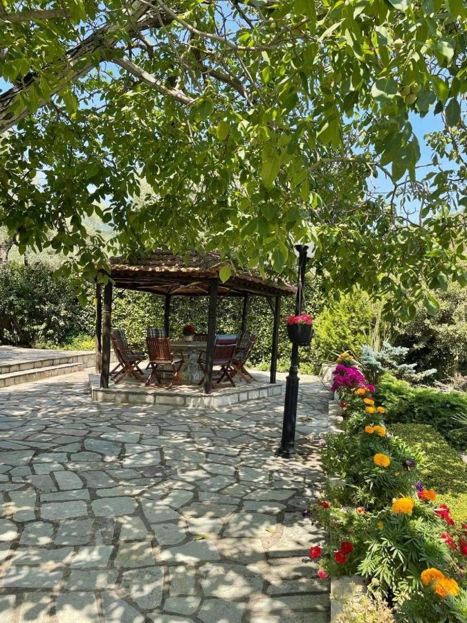 Villa Olive Áno Lekhónia Exterior foto