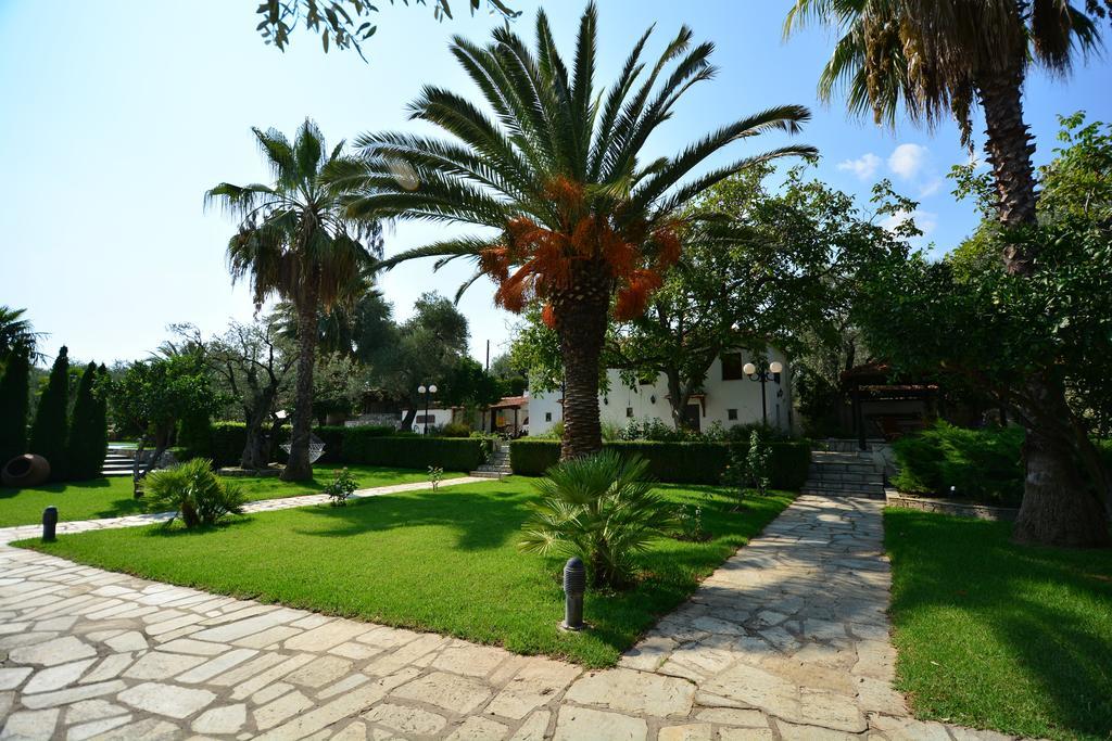 Villa Olive Áno Lekhónia Zimmer foto